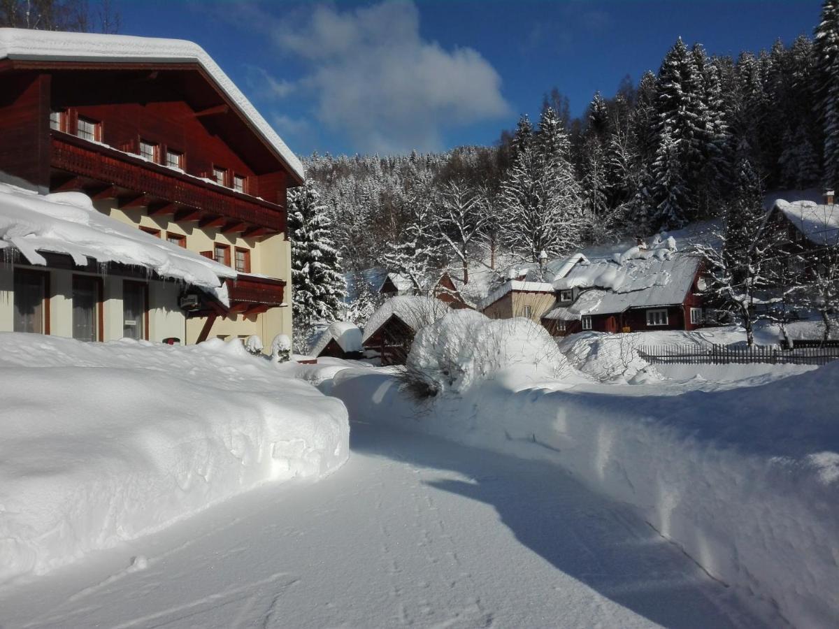Rodinny "Hotel U Mustku" Desná Exterior foto